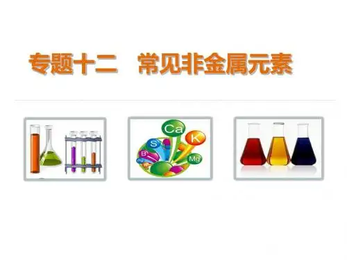 高考化学二轮常见非金属元素专题突破课件