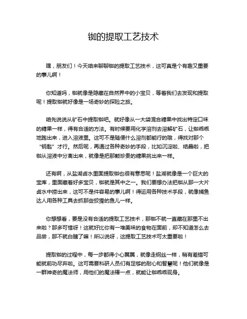 铷的提取工艺技术