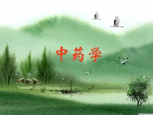 中药学课件(解表药)  PPT课件