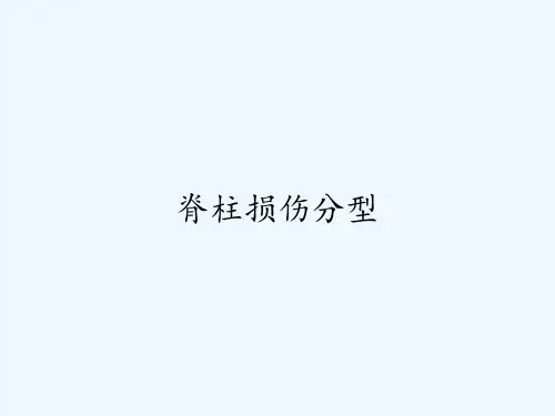 脊柱损伤分型-PPT