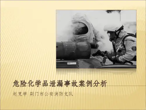 危险化学品泄漏事故案例分析ppt课件