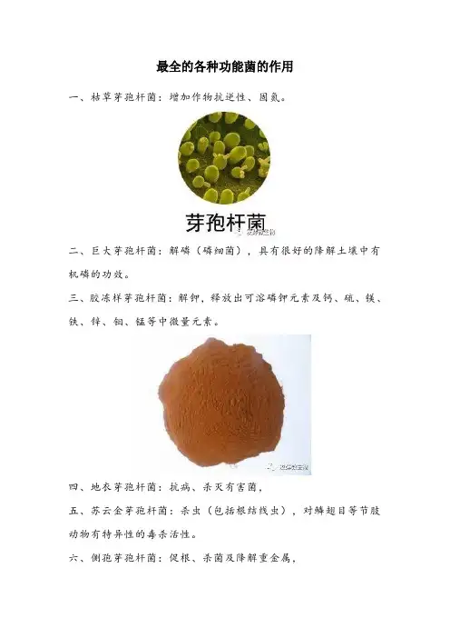最全的各种功能菌的作用
