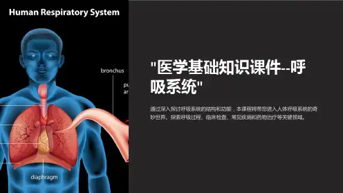 “医学基础知识课件-呼吸系统”