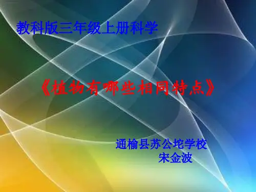 三年级上册科学-植物有哪些相同特点l教科版-PPT课堂课件