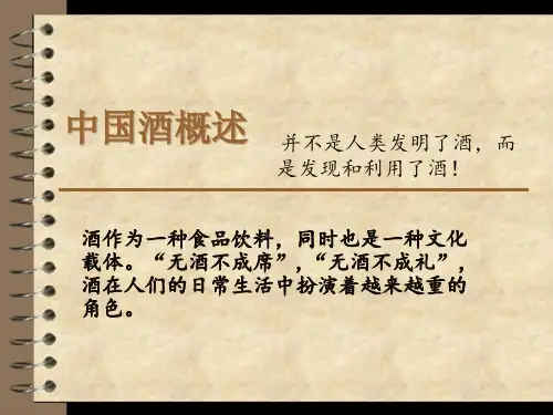 中国酒概述