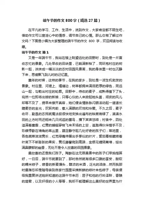端午节的作文800字（精选27篇）