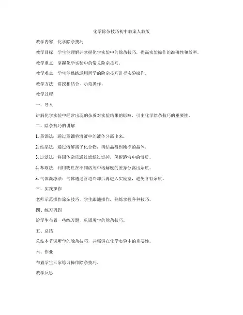 化学除杂技巧初中教案人教版