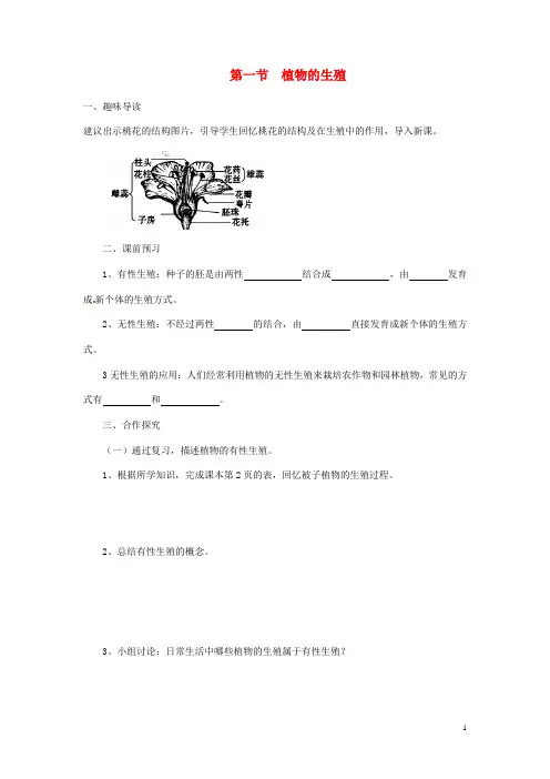 八年级生物下册植物的生殖学案 新人教版