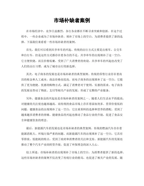 市场补缺者案例