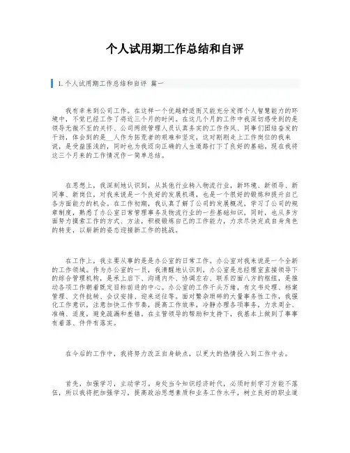 个人试用期工作总结和自评