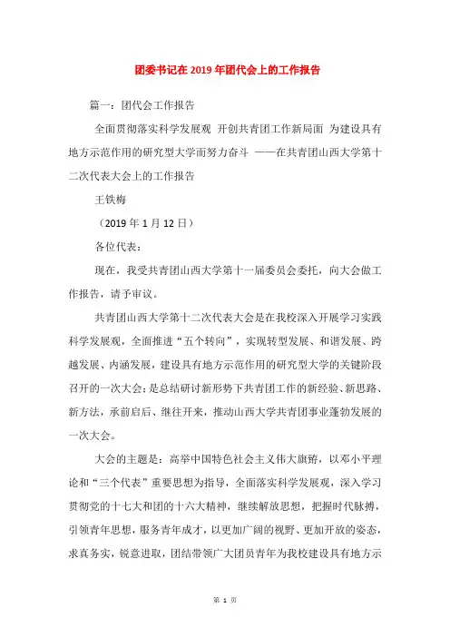团委书记在2019年团代会上的工作报告