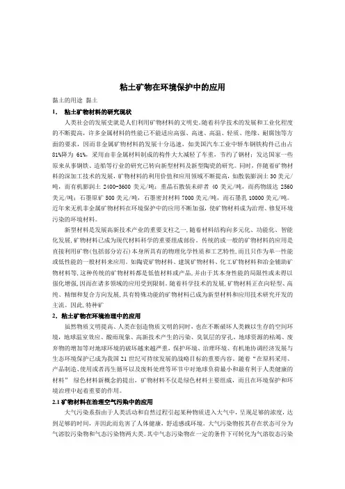粘土矿物在环境保护中的应用研究