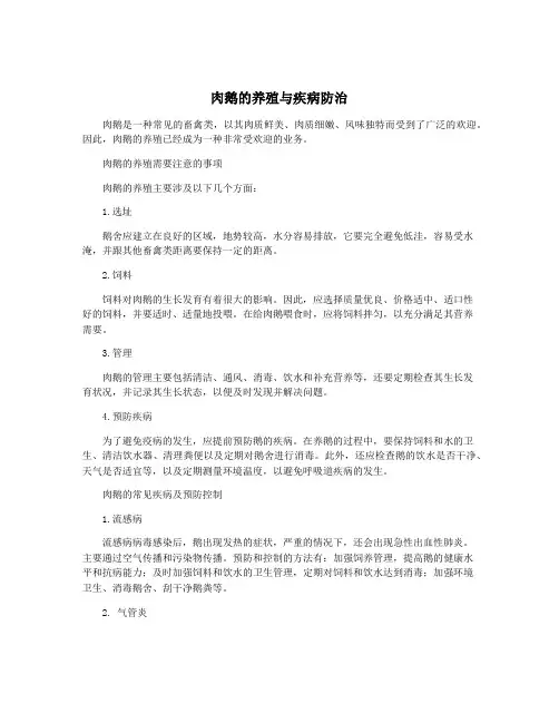 肉鹅的养殖与疾病防治