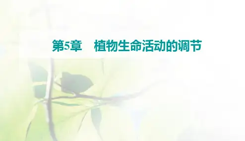 人教版高中生物选择性必修1第5章第1节植物生长素课件