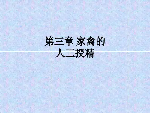 第三章 家禽的人工授精ppt课件
