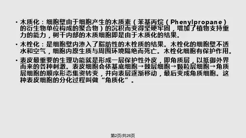 食品原料学果蔬组织结构.pptx