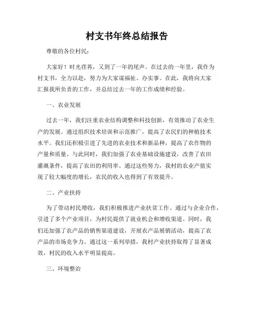 村支书年终总结报告