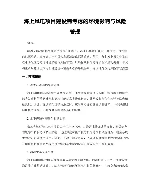 海上风电项目建设需考虑的环境影响与风险管理