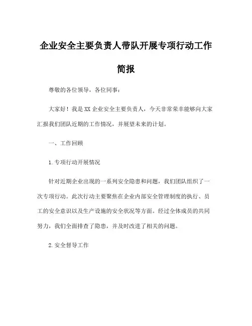企业安全主要负责人带队开展专项行动工作简报