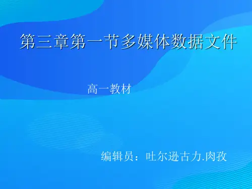多媒体技术应用之多媒体数据文件(ppt 19页)