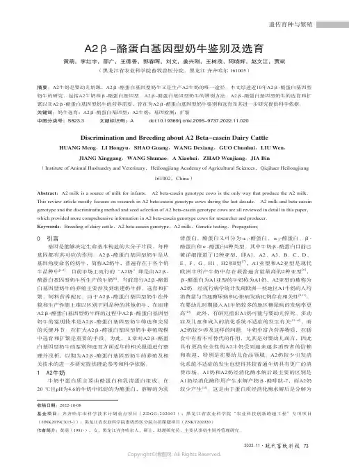A2β-酪蛋白基因型奶牛鉴别及选育