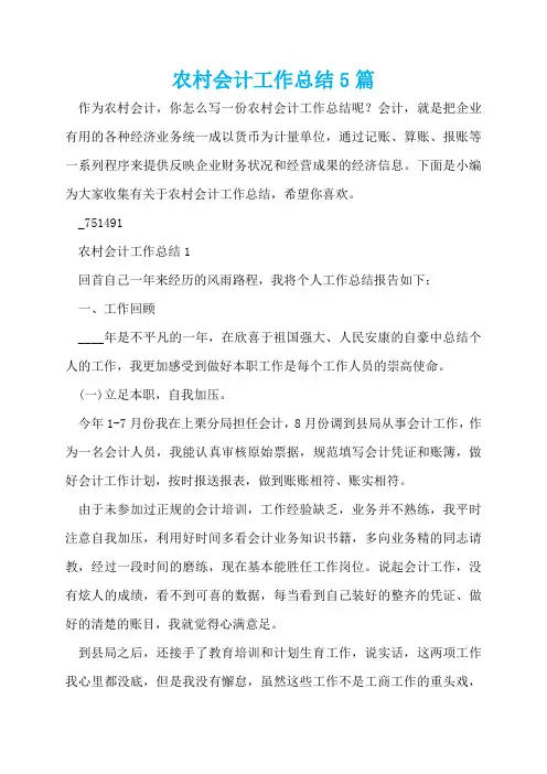 农村会计工作总结5篇