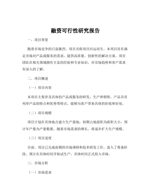 融资可行性研究报告