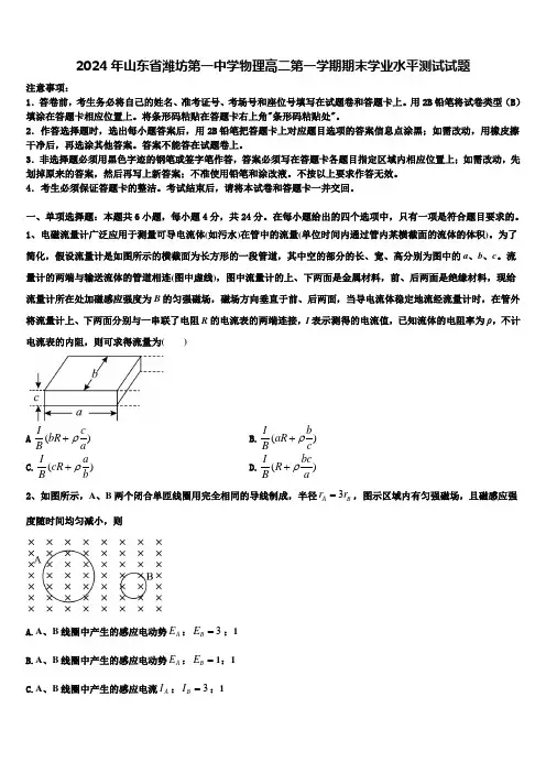 2024年山东省潍坊第一中学物理高二第一学期期末学业水平测试试题含解析