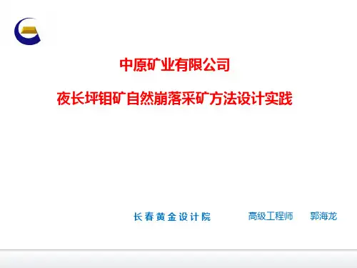 夜长坪钼矿自然崩落采矿方法设计实践