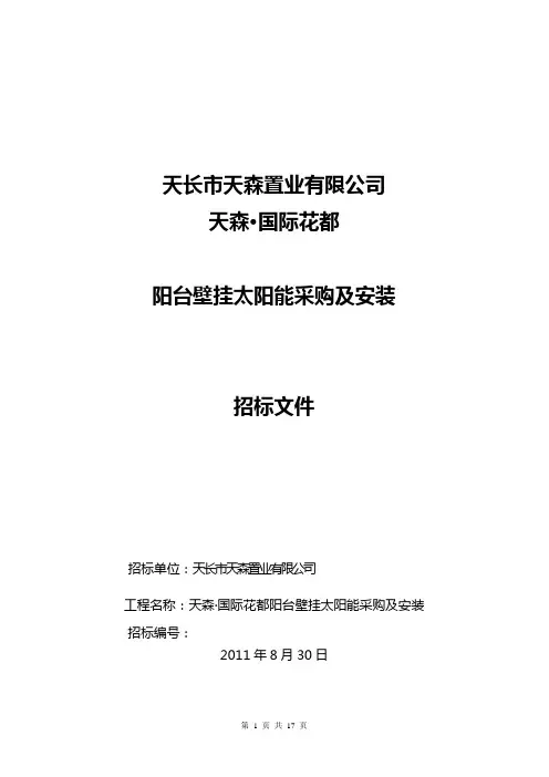 阳台壁挂太阳能招标文件