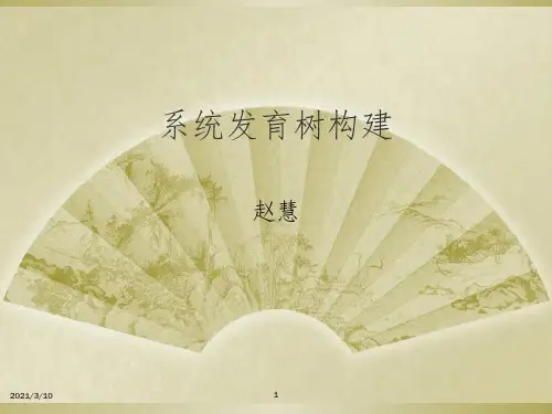 构建系统发育树的方法课件PPT