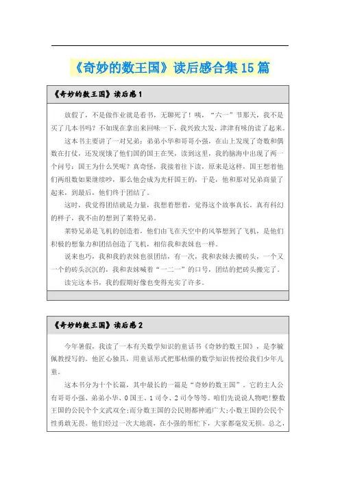 《奇妙的数王国》读后感合集15篇