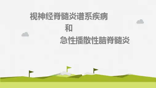 视神经脊髓炎及急性播散性脑脊髓炎