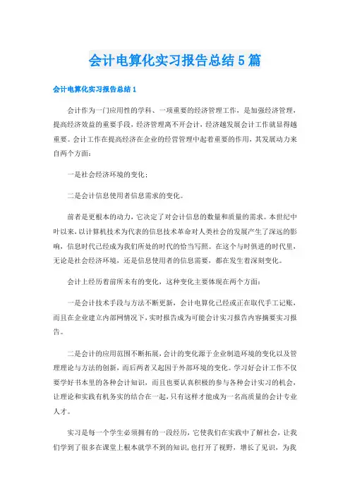 会计电算化实习报告总结5篇