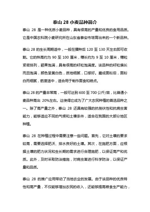 泰山28小麦品种简介
