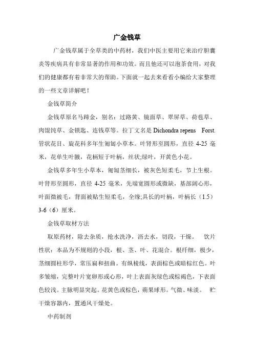 广金钱草的药用价值
