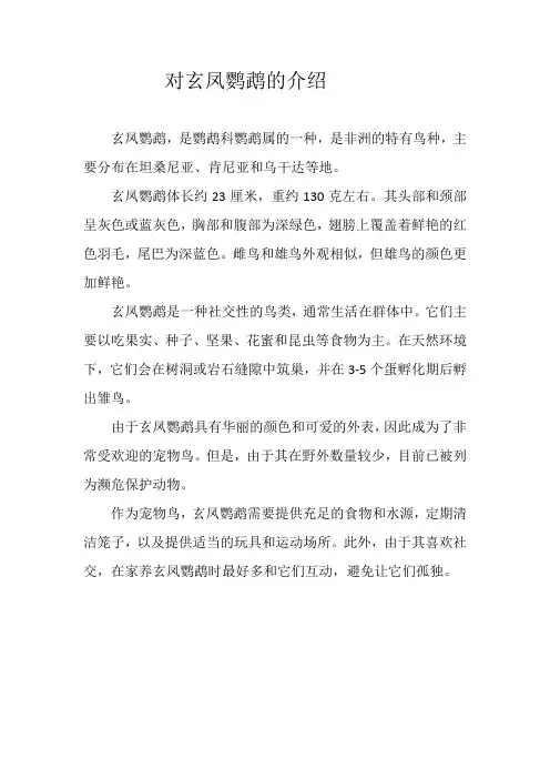 对玄凤鹦鹉的介绍