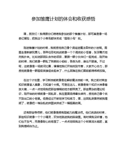 参加雏鹰计划的体会和收获感悟