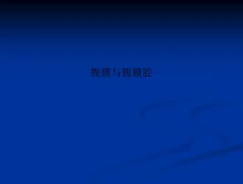 腹膜与腹膜腔