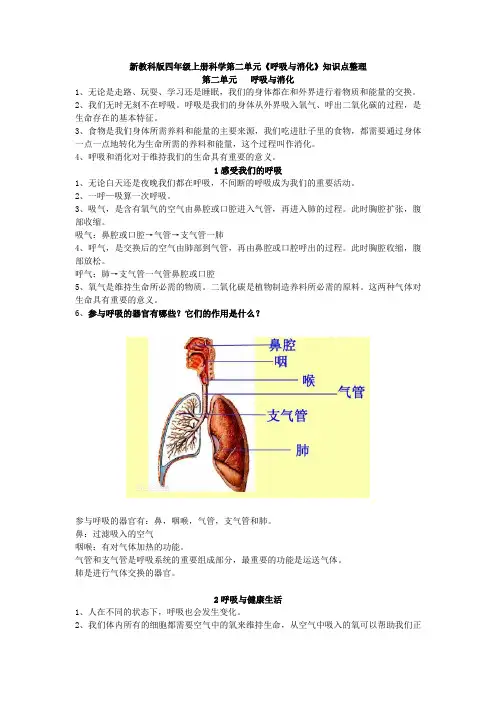 新教科版四年级上册科学第二单元《呼吸与消化》知识点整理(1)