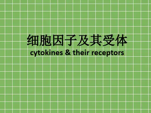 细胞因子及其受体