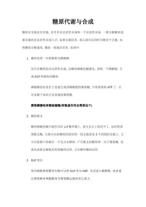 生物化学复习笔记-糖原代谢与合成