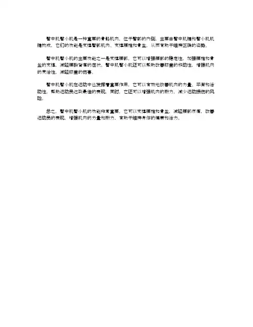 臀中肌臀小肌的功能