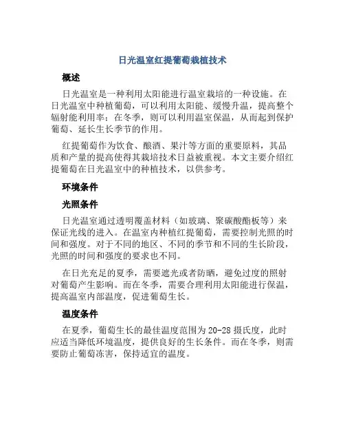 日光温室红提葡萄栽植技术