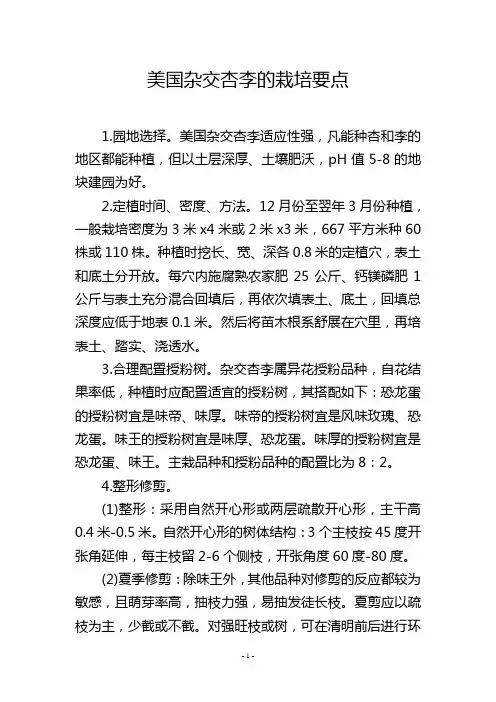 美国杂交杏李的栽培要点