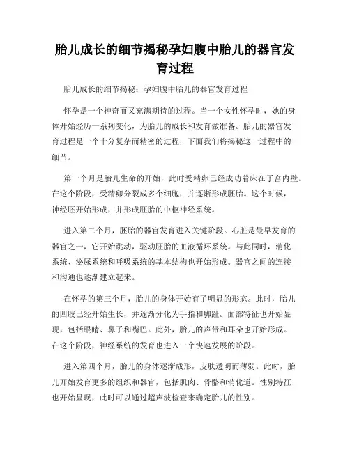 胎儿成长的细节揭秘孕妇腹中胎儿的器官发育过程
