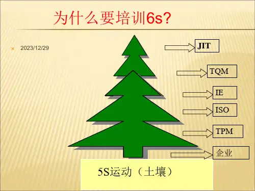 6S与目视管理缝制组长级培训教材管理版课件