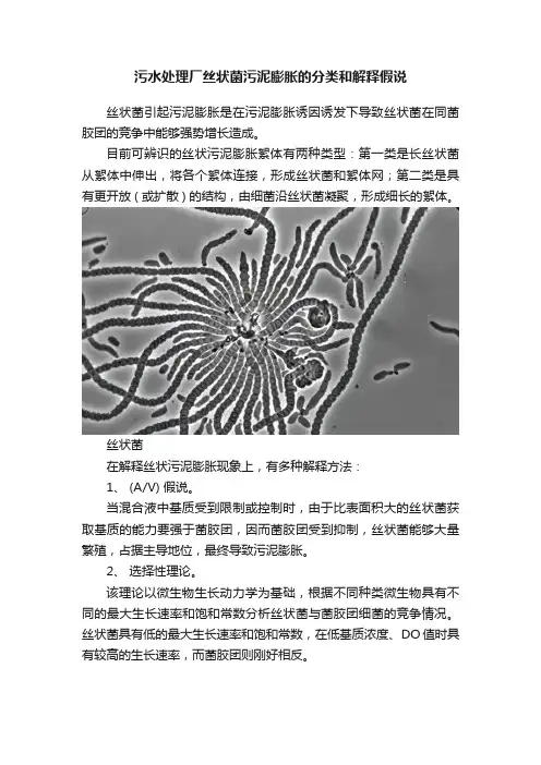 污水处理厂丝状菌污泥膨胀的分类和解释假说
