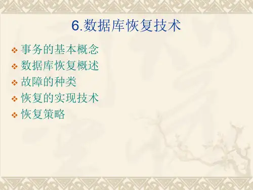 数据库 6数据库恢复技术