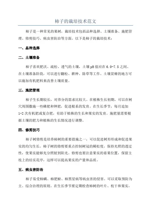 柿子的栽培技术范文